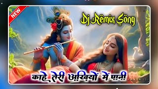 Meera Prem Deewani Dj Remix Ssong New Hindi Bhakti Song 2014 Dj RVM MUSIC Nemichand Sharma [upl. by Nala654]