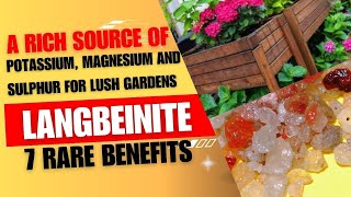 Langbeinite A Rich Source of potassium magnesium and Sulphur for Lush Gardens  7 Rare benefits [upl. by Eniger]