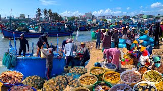 Unique Fresh Vietnamese Seafood And Traditional Cake [upl. by Ellenrad]