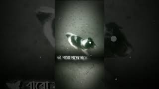 দেখা না দিলে বন্ধু কথা কইয়ো না ❤️love youtubeshorts runalaila [upl. by Son]