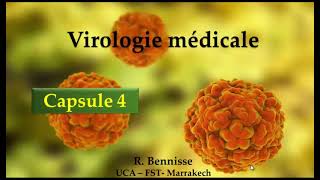 Virologie médicale réplication virale Capsule 4 [upl. by Narat999]