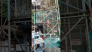 Vertigo test safety scaffolding funny [upl. by Kotta]