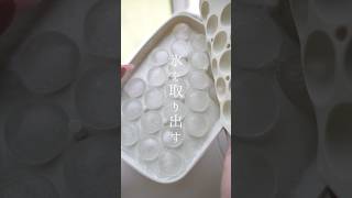 強敵現る！氷の塊🧊丸い氷可愛すぎやろ！暑い日はこの動画で涼んでくださいな。生活音ASMR 製氷皿 [upl. by Acinorev963]