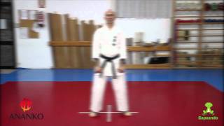 Pinan Shodan  KarateDo [upl. by Ettolrahs]