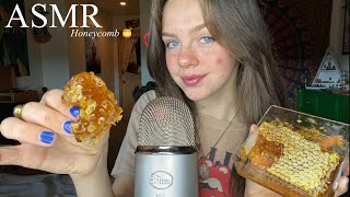 ASMR Eating Honeycomb 🍯 Mouth Sounds [upl. by Dowling]