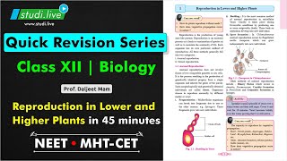 BIOLOGY  REPRODUCTION IN LOWER AND HIGHER PLANTS  QUICK REVISION SERIES  NEET  MHTCET [upl. by Lambrecht521]