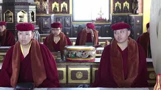 Tara Prayer  HH Gyalwang Drukpa With The Nuns of Druk Amitabha Mountain [upl. by Jasun]