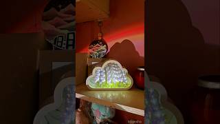 Tulip Lamp diy craft tulip flowers lamp light art aesthetic creative gift shorts youtube [upl. by Atirhs527]