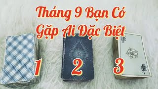 🍀Tháng 9 Này Bạn Có Gặp Ai Đặc Biệt thôngđiệp tarot mstarot mstarot healing meeting September [upl. by Aicram]