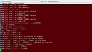 RAC 19c Modify SCAN Listener amp LOCAL listener Port [upl. by Llennod]