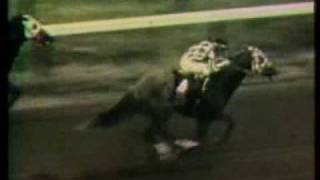 SECRETARIAT  1972 Saratoga Allowance 2nd Win [upl. by Drofniw]