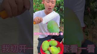 Satisfying fresh fruit farm fruitcutting mango apple fruit shorts [upl. by Annahc]