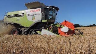 Claas Lexion 760 TT  Lohnunternehmen Honermeier in der Gerste [upl. by Lune203]