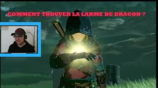 The Legend of Zelda Tears of the Kingdom Comment trouver la larme du dragon [upl. by Sheela249]