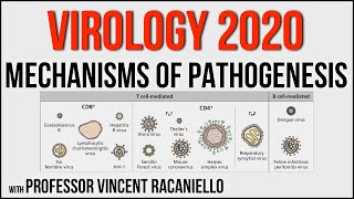 Virology Lectures 2020 15 Mechanisms of Pathogenesis [upl. by Aikim652]