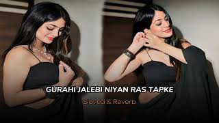 gurahi jalebi niyan ras tapke slowedreverb  Bhojpuri song  with [upl. by Odnalro88]