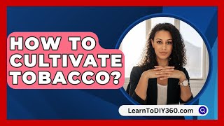 How To Cultivate Tobacco  LearnToDIY360com [upl. by Enahs]