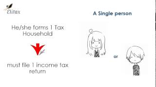 French Income Tax return [upl. by Lanahtan]