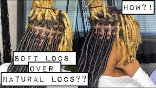 Soft Locs over Natural Locs  Beginner Friendly  Best Tutorial  Extended Soft Locs [upl. by Maren]