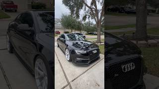 Blacked out headlights😮‍💨 audi cars car trending fyp shorts youtube cartok s5 sports a4 [upl. by Olen842]