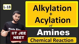 L18 Alkylation  Acylation of Amines  Chemical Reactions  JEE NEET  By Arvind Arora [upl. by Sukhum258]