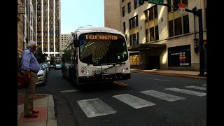 New Buses of 2023 [upl. by Kirchner536]