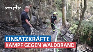 Waldbrand Lage in Sächsischer Schweiz weiter angespannt  MDR um Zwei  MDR [upl. by Milissa55]