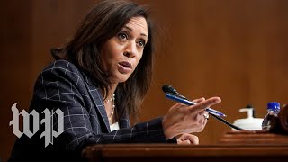 In the Senate Kamala Harris grilled Trump officials and appointees [upl. by Eseekram709]