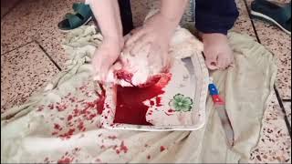 چکن ذبح کرنے کا گل باجی کا سنت طریقہ Chicken slaughter videotrending viralvideo chicken [upl. by Adnolay]