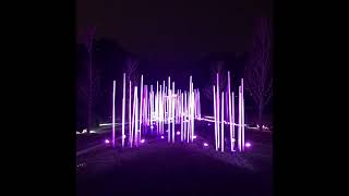 Illumination Tree Lights at The Morton Arboretum [upl. by Wren]