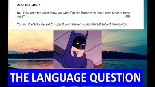 EDUQAS GCSE English Language Paper 1 the language question Pat amp Bruce [upl. by Edrock]