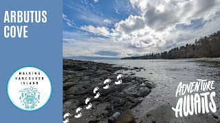 Beach Day at Arbutus Cove in Saanich [upl. by Eetnwahs]