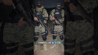 CARTEL DEL NORESTE SUCESORES DE LOS ZETAS🇲🇽☠️ shorts mexico military narcos facts [upl. by Ayal384]