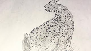 How to draw a leopard 🐆 pencil sketch tutorial [upl. by Felicdad]