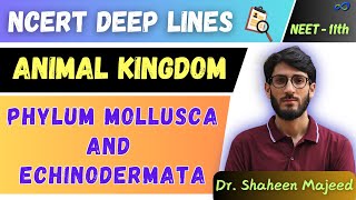 L10 Phylum Mollusca and Echinodermata  Animal Kingdom  11th  NEET  Dr Shaheen Sir [upl. by Aikrahs]