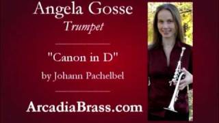 Wedding Music  Pachelbels Canon in D  Trumpet amp Organ [upl. by Simmie]