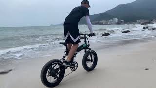 Fiido M1 Pro  Electric Fat Bike [upl. by Notyard402]