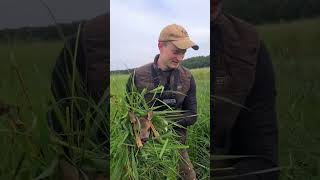 🦌Kitzrettung mit der Wärmebilddrohne Für das Wild als Jäger Jagd Naturschutz rehwild kitz djv [upl. by Johathan988]