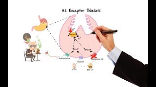 Pharmacology  ANTIHISTAMINES MADE EASY [upl. by Anivle52]