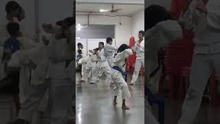 My karate 🥋 classes [upl. by Dermot]