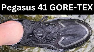 Nike Pegasus 41 GORETEX [upl. by Aimat621]