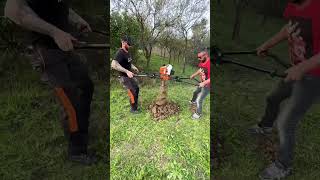 Stihl Bt360 earth auger [upl. by Hillel279]