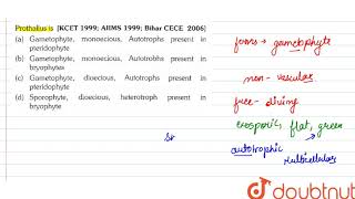 Prothallus is  11  PLANT KINGDOM  BIOLOGY  ERRORLESS  Doubtnut [upl. by Yllac]