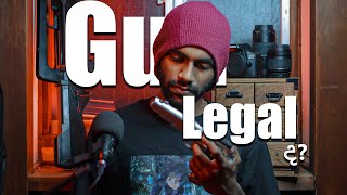 Gun Legal ද   Sinhala  Life In Japan  Vlog 64  2024 [upl. by Nana]