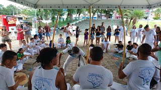 Dia da Consciência Negra Roda de Capoeira Alforria do Brasil  20112024 [upl. by Attenreb]