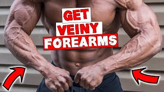 FOREARM WORKOUT FOR VEINS  DUMBBELLS OR BARBELL [upl. by Heathcote]