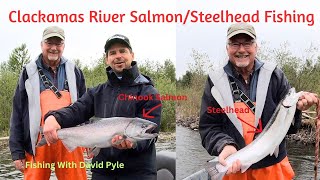 Awesome SalmonSteelhead drift boat fishing on the Clackamas May 21 2024 [upl. by Gibbeon687]