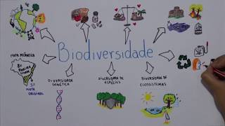 Biodiversidade [upl. by Gschu]