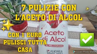 7 PULIZIE CON LACETO DI ALCOL✅️🔝PULISCI TUTTA CASA CON 1 EURO cleaninghacks cleaning cleanwithme [upl. by Heaps]