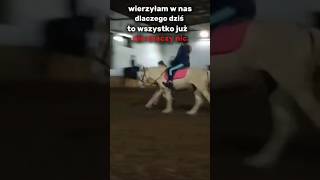 Wierzyłam w nas horses horseing horselover equestrian edit shorts music [upl. by Nahgeem29]